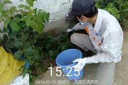 病媒四害(病媒生物四害)