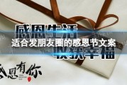 感恩节活动文案(感恩节活动文案标题)
