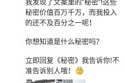 宠物文案朋友圈(宠物狗朋友圈文案)