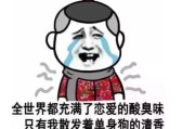 520恶搞文案(关于520搞笑文案)