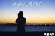 虐到心碎的扎心文案短句(虐到心碎的扎心文案短句图片)