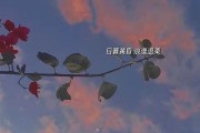 表示爱意的文案(有深度表达爱意的文案)