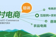 农村电商平台是什么(我国农村电子商务常见的平台有哪些)