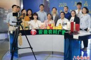安徽电商(安徽电子商务专升本)