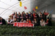 采摘活动文案(采摘园宣传文案)