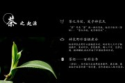 茶叶广告文案策划(关于茶叶的文案策划)