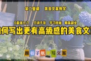 产品文案编写(产品文案编写的要点)