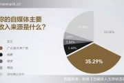 自媒体平均收入(自媒体平均每月收入)