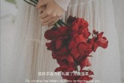 爱情的文案照片(爱情文案图片背景图)