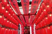 ve云创微营销是什么:功能农业是什么？