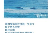 大海文案(大海文案短句干净治愈)