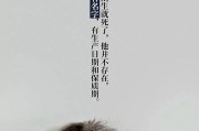 电影文案怎么找(哪里可以找到电影剧情文案)