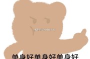 单身文案(单身文案伤感)
