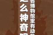 博物馆的文案(参观历史博物馆的文案)