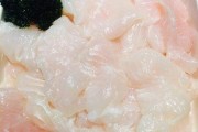 巴沙鱼文案(巴沙鱼是什么鱼)