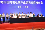 深圳跨境电商上市(深圳跨境电商上市公司有哪些)