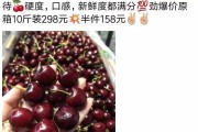 大樱桃朋友圈文案(大樱桃朋友圈文案简短)