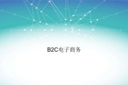 电子商务b2c(电子商务b2c是什么意思)