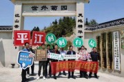 平江县电商(平江县电商产业园属于哪个镇)