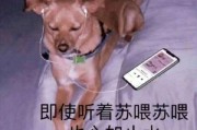 超沙雕的文案(超沙雕的文案句子)