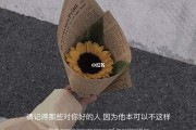 长大的文案(孩子长大的文案)