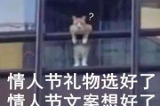 单身狗的文案(单身狗的文案剪短)