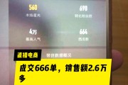 六六六电商(六零八电子商务)