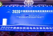 国际电商有哪些(国际电商和国内电商区别)