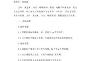 端午节策划书文案(端午节节目策划文案)