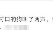 处对象官宣文案(官宣对象的文案 长句)