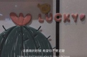 大人的文案(老婆大人文案)