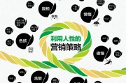 如何理解市场营销(如何理解市场营销中的市场的概念)