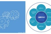 网络营销整合(网络整合营销理论)