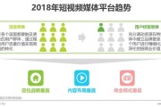 视频营销(视频营销案例)