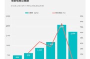 2005年电商平台(2010年4月成立的电商平台)