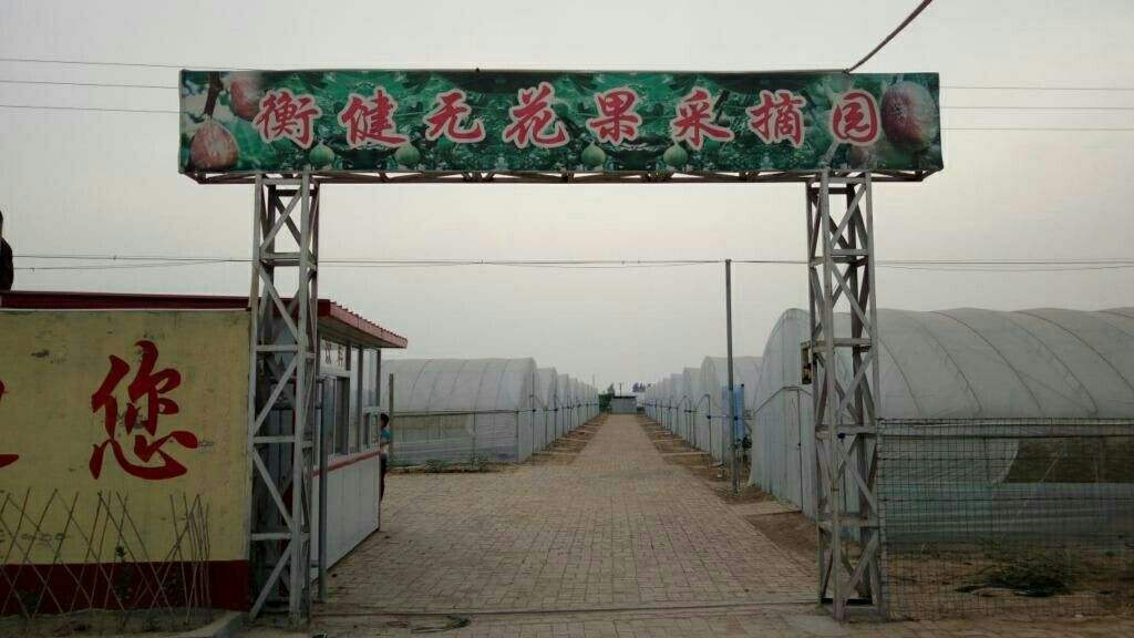 采摘园营销方案(大棚采摘园营销方案)