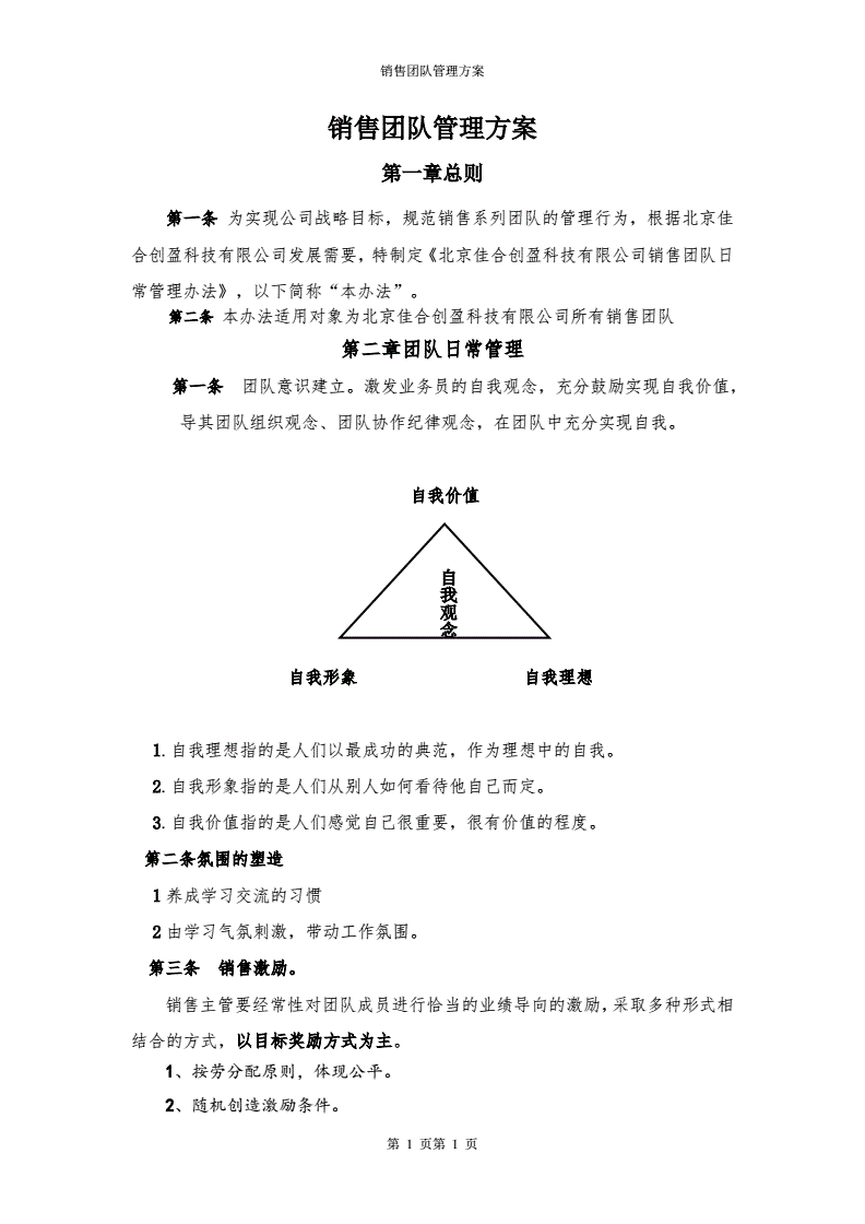 营销团队运营及管理方案(营销团队运营及管理方案日照)