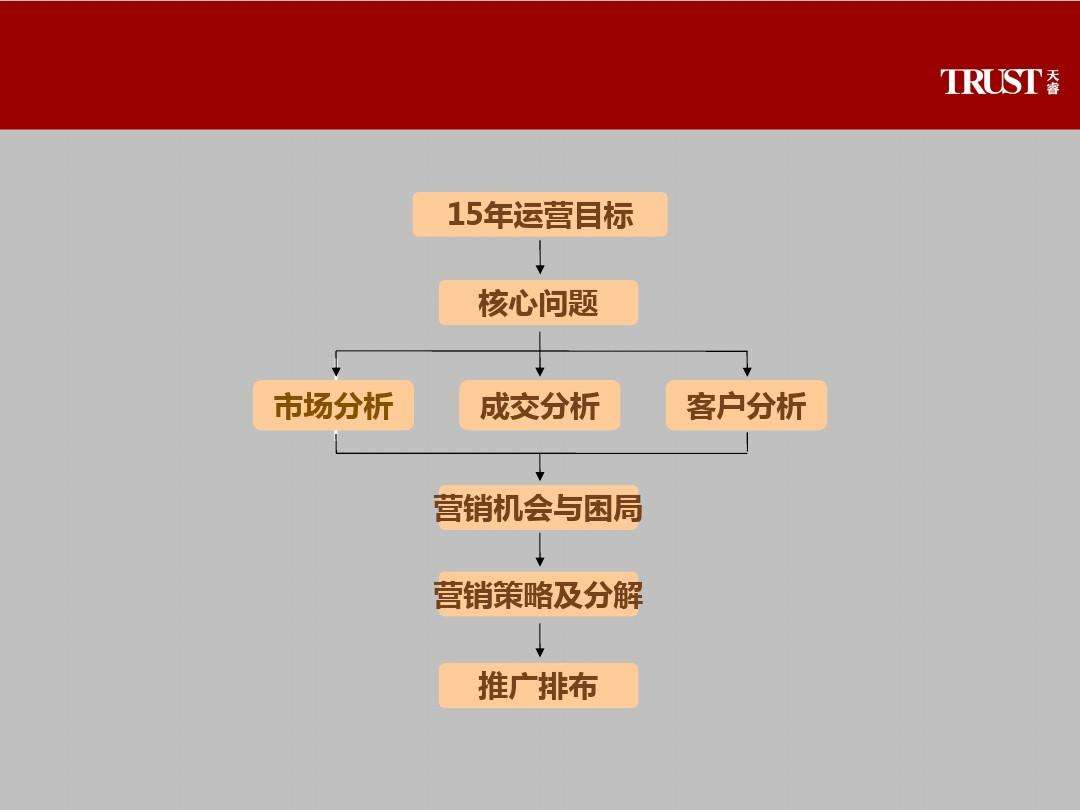 营销策略分析包括哪些内容(营销策略应该从哪几个方面分析)