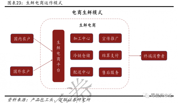 垂直电商大概有哪些(垂直电商平台有哪些?)