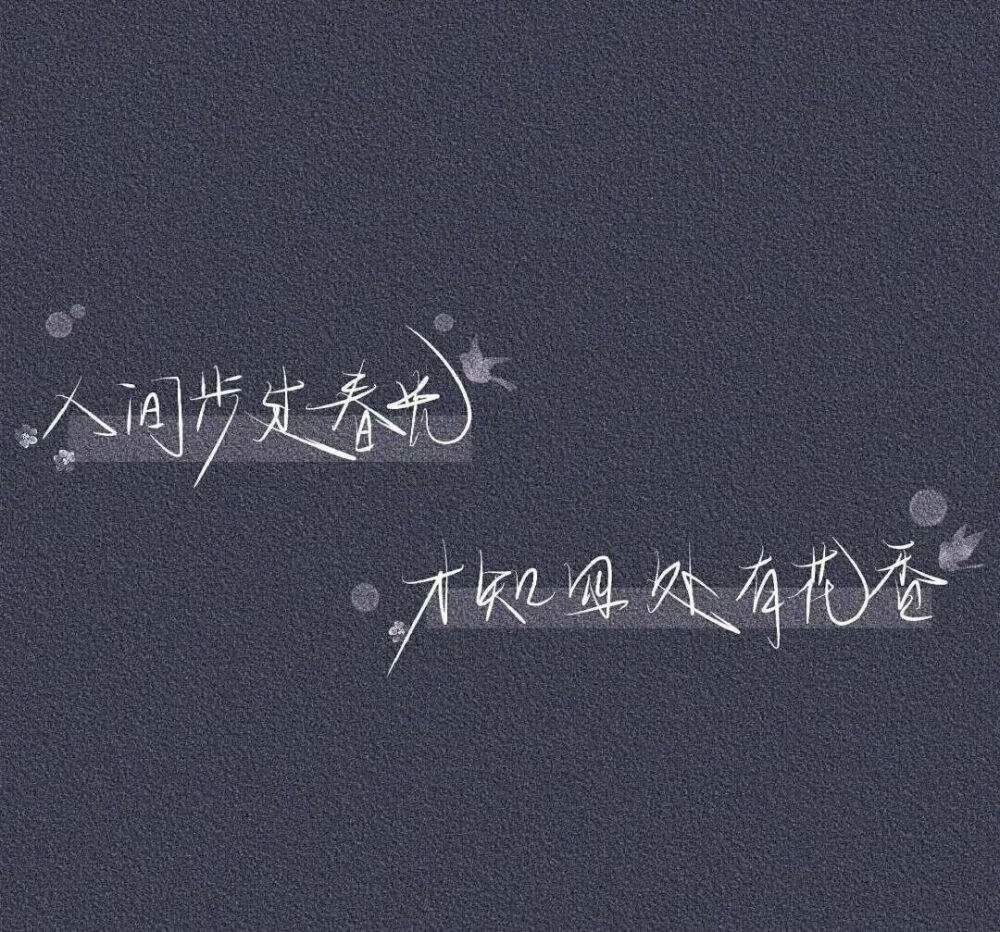 丁香花文案(关于丁香结的文案)