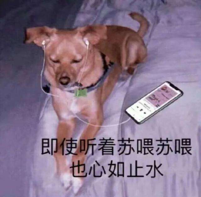 沙雕文案(沙雕文案搞笑长句)