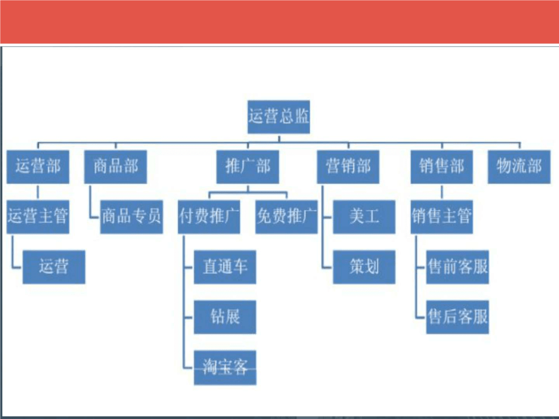 电商运营网(电商运营哪个平台比较好)