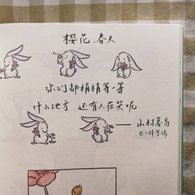 搞笑可爱的文案(超级可爱搞笑的文案)