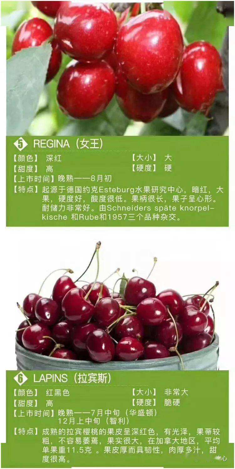 车厘子文案(车厘子文案怎么写)
