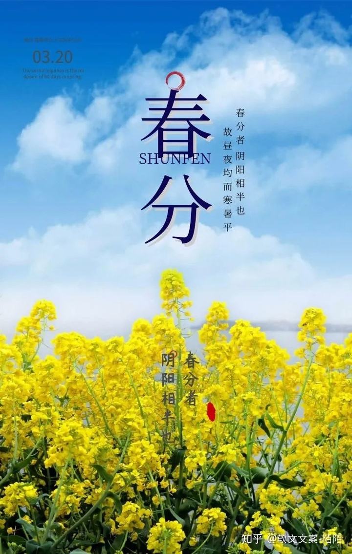 春分文案主题创意的简单介绍