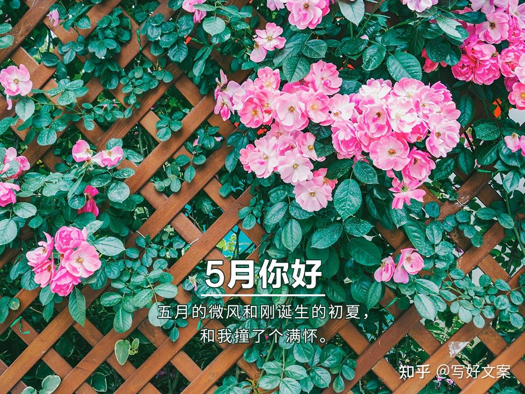 6月文案(6月文案高级)