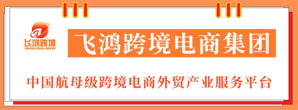 外贸电商独立站(外贸电商独立站运营)