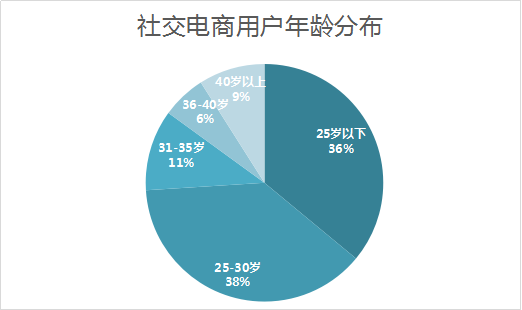 主要电商(主要电商平台的区别)