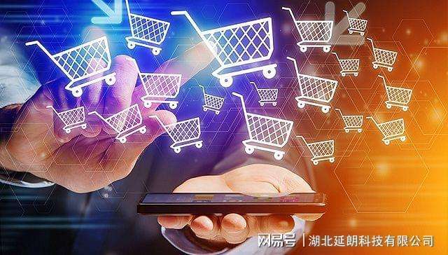湖南电商的骗术(湖南精准电子商务有限公司)