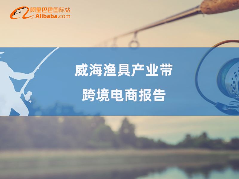 跨境电商国际站(跨境电商国际站设定产品价格,需要考虑哪些因素)